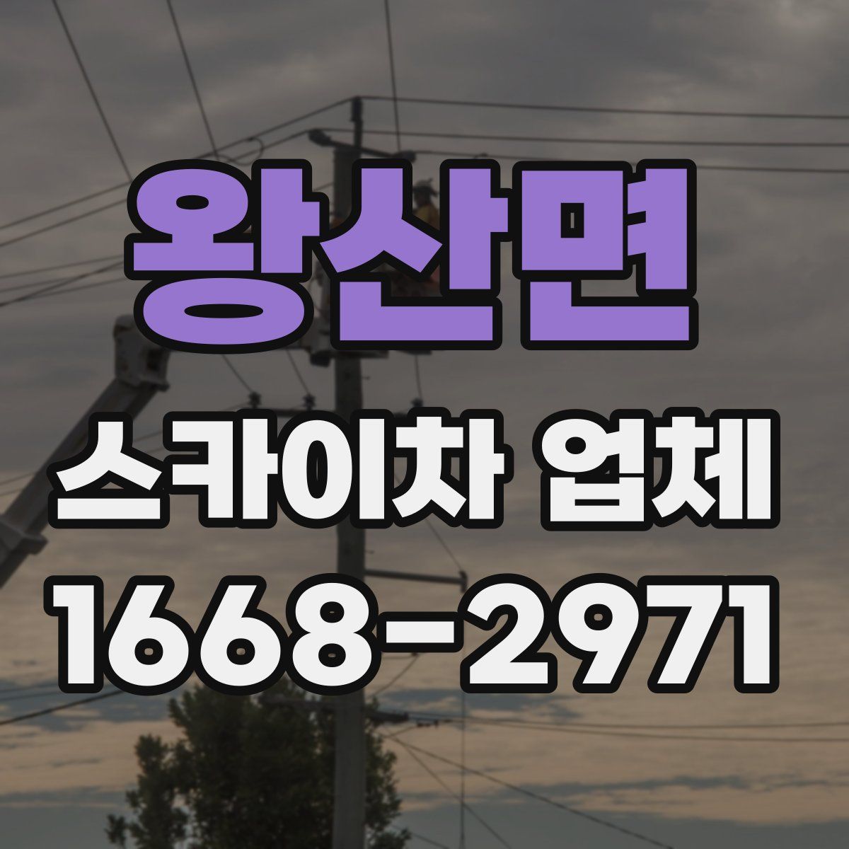 왕산면 스카이차 업체