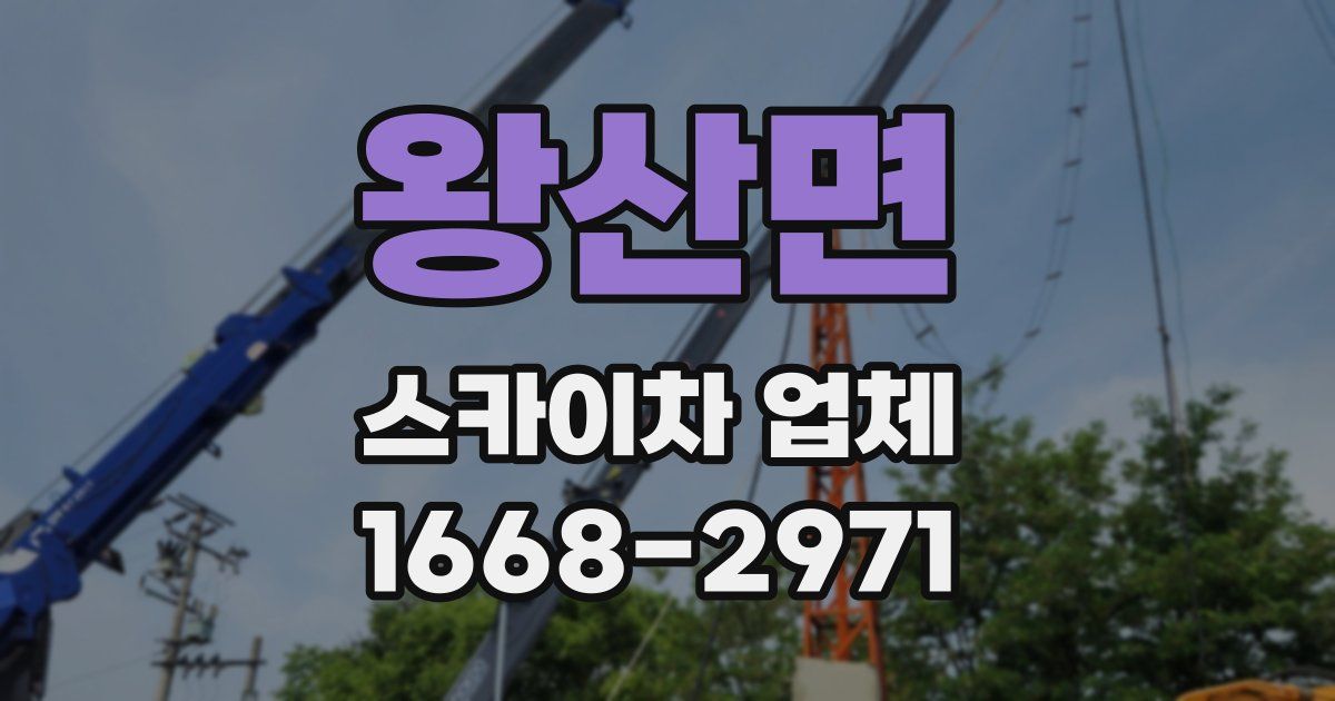 왕산면 스카이차 업체