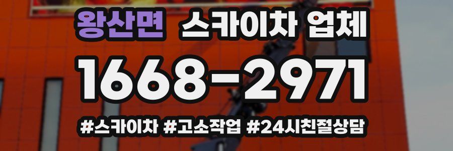 왕산면 스카이차 업체
