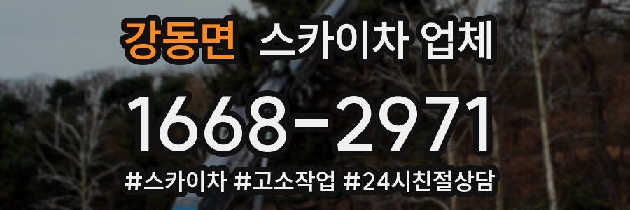 강동면 스카이차 업체