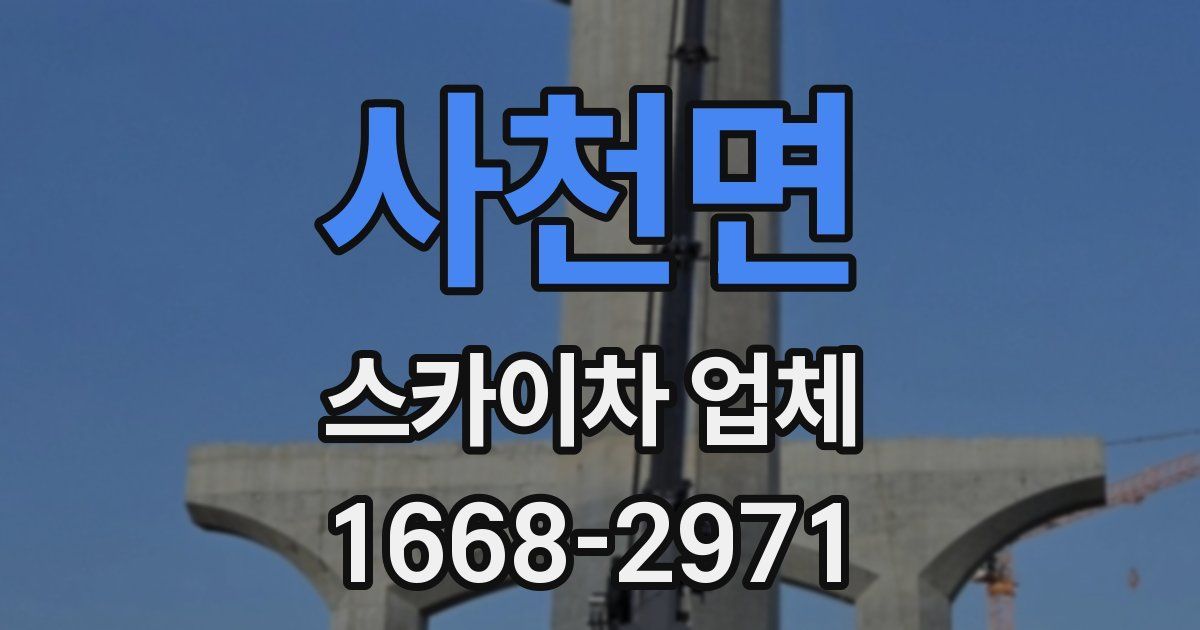 사천면 스카이차 업체