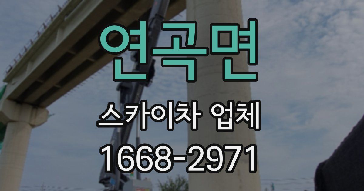 연곡면 스카이차 업체