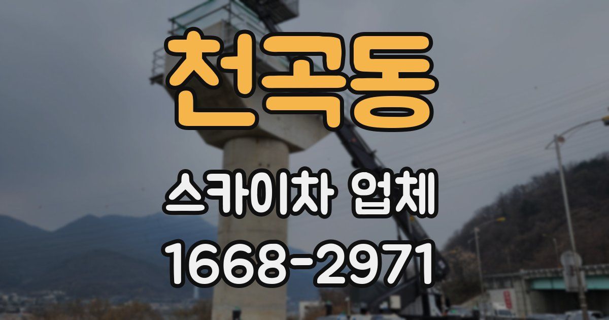 천곡동 스카이차 업체