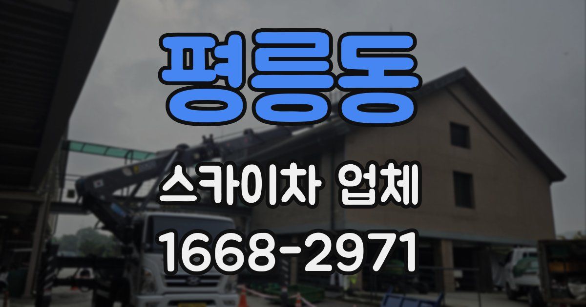 평릉동 스카이차 업체
