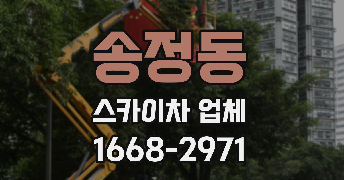 송정동 스카이차 업체