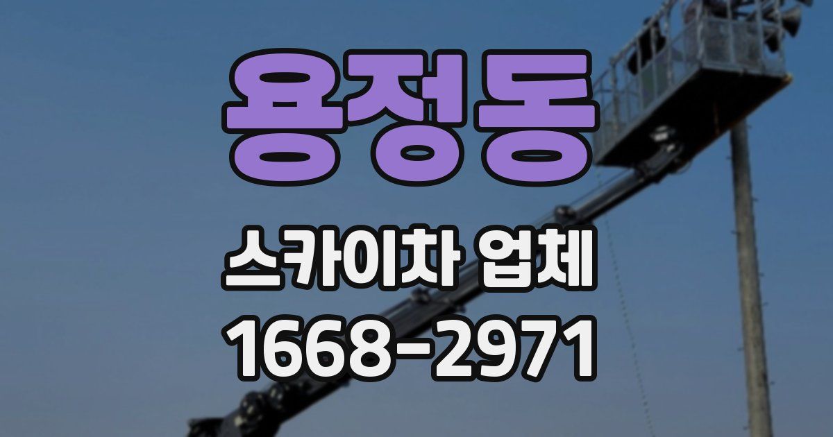 용정동 스카이차 업체