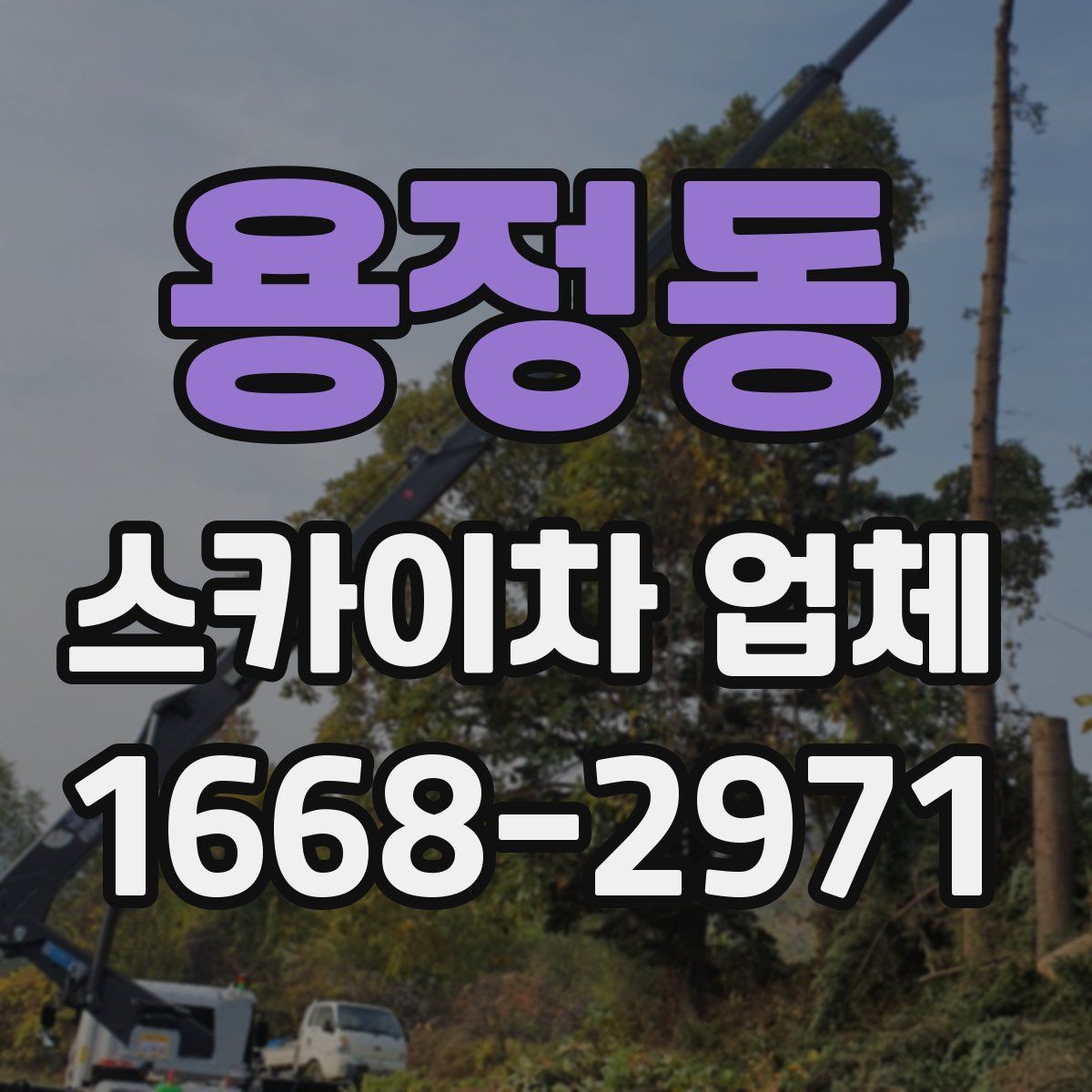 용정동 스카이차 업체