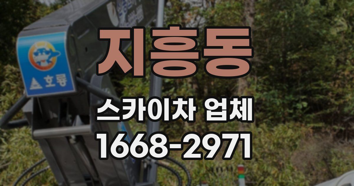 지흥동 스카이차 업체