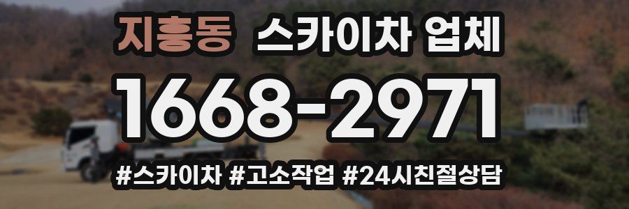 지흥동 스카이차 업체