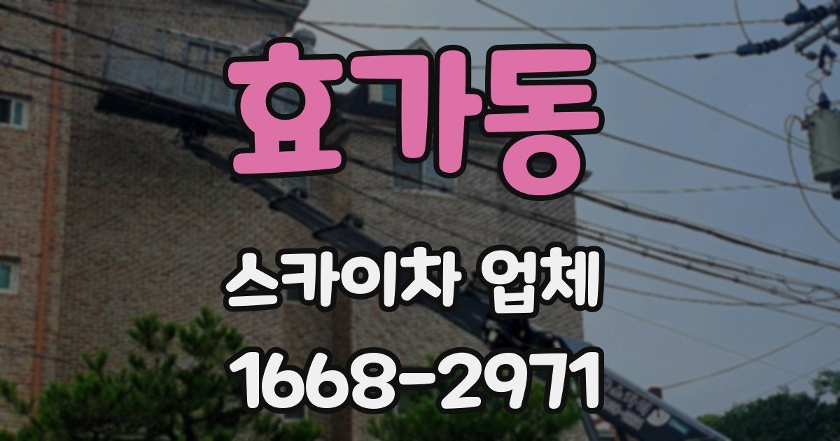 효가동 스카이차 업체