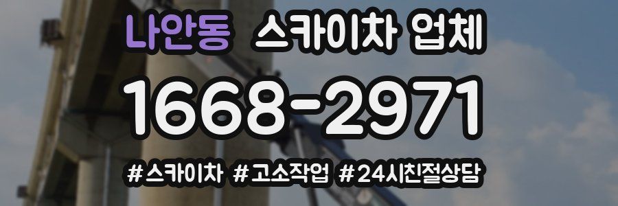 나안동 스카이차 업체