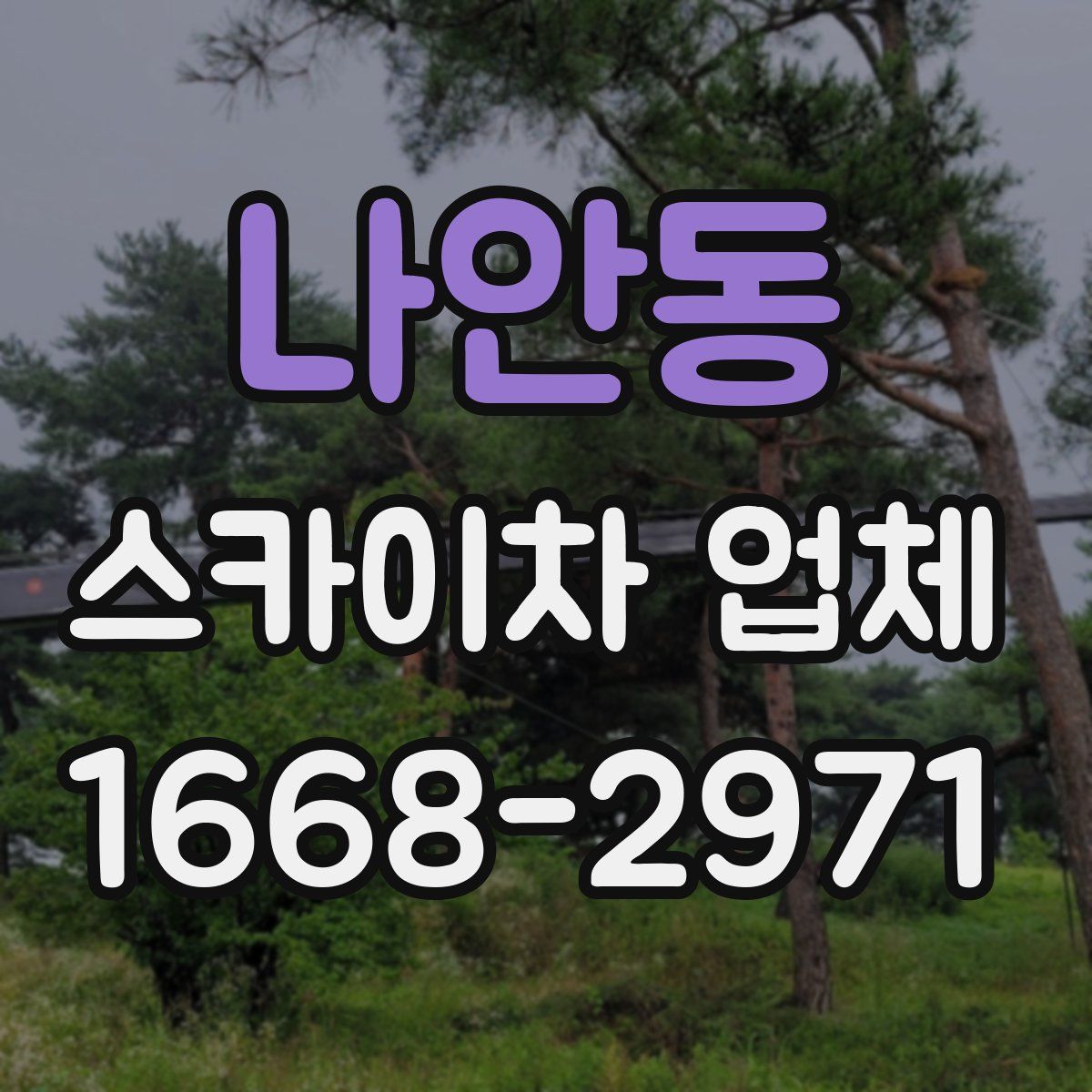 나안동 스카이차 업체