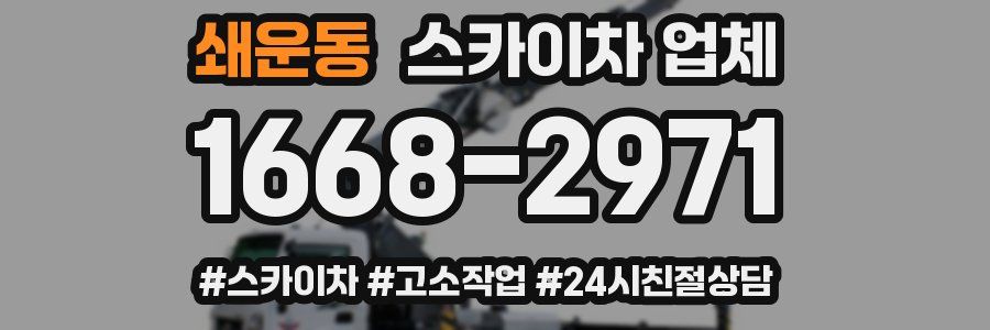 쇄운동 스카이차 업체