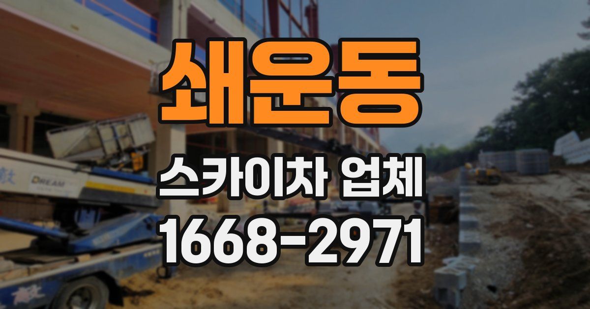 쇄운동 스카이차 업체