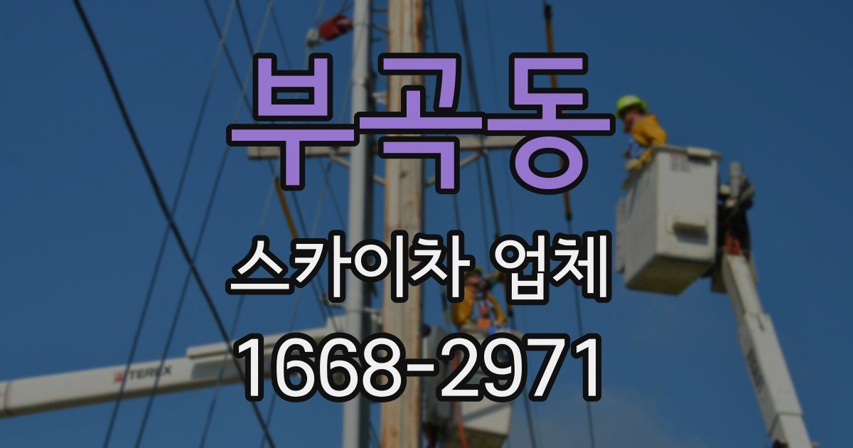 부곡동 스카이차 업체
