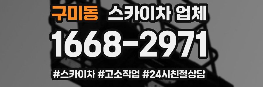 구미동 스카이차 업체