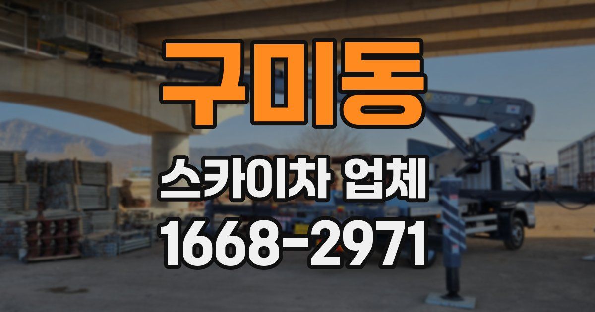 구미동 스카이차 업체