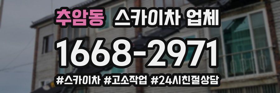 추암동 스카이차 업체
