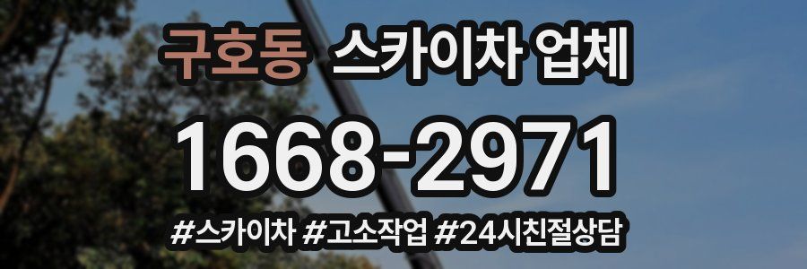 구호동 스카이차 업체