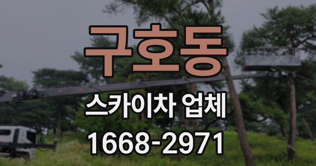 구호동 스카이차 업체