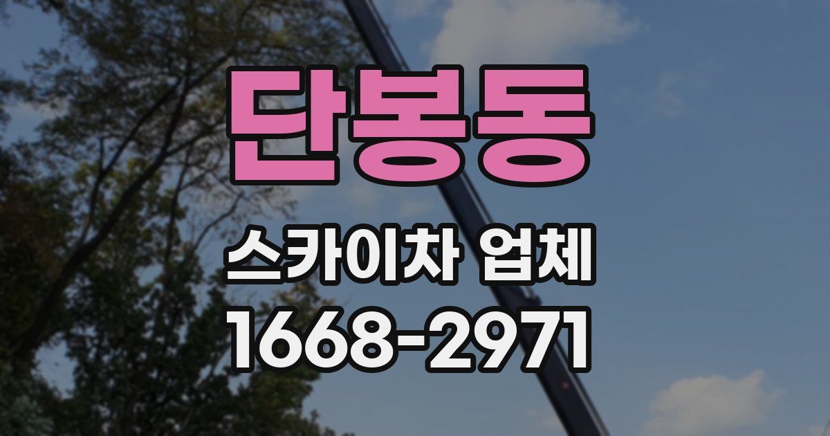 단봉동 스카이차 업체