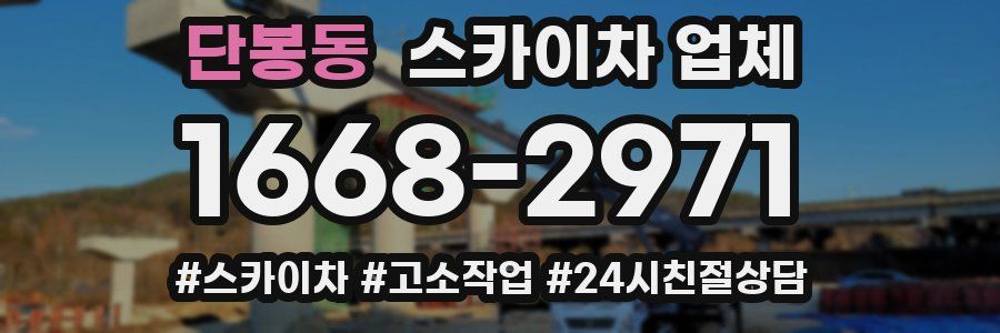단봉동 스카이차 업체