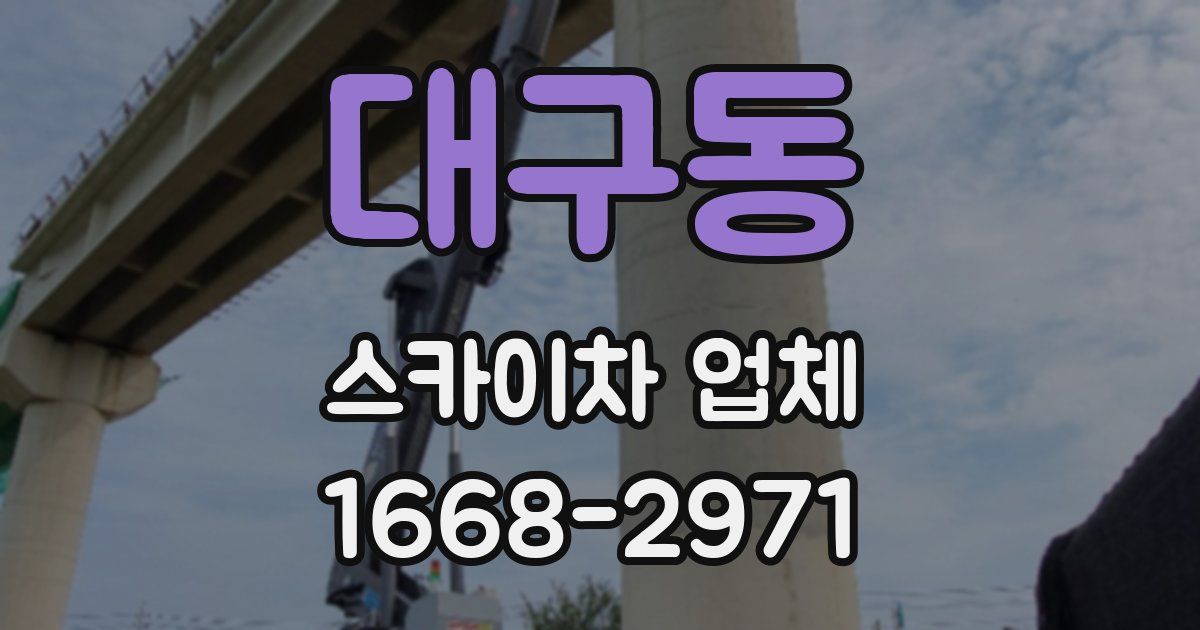 대구동 스카이차 업체