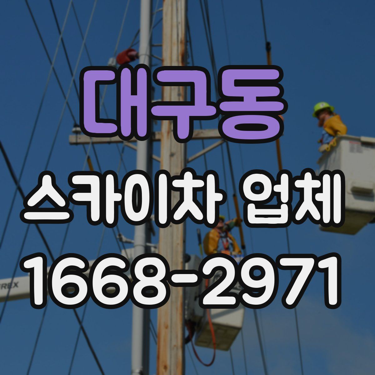 대구동 스카이차 업체