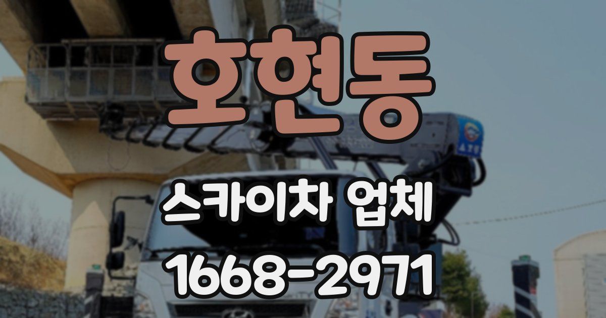 호현동 스카이차 업체