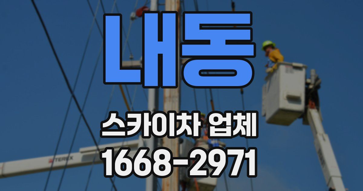내동 스카이차 업체