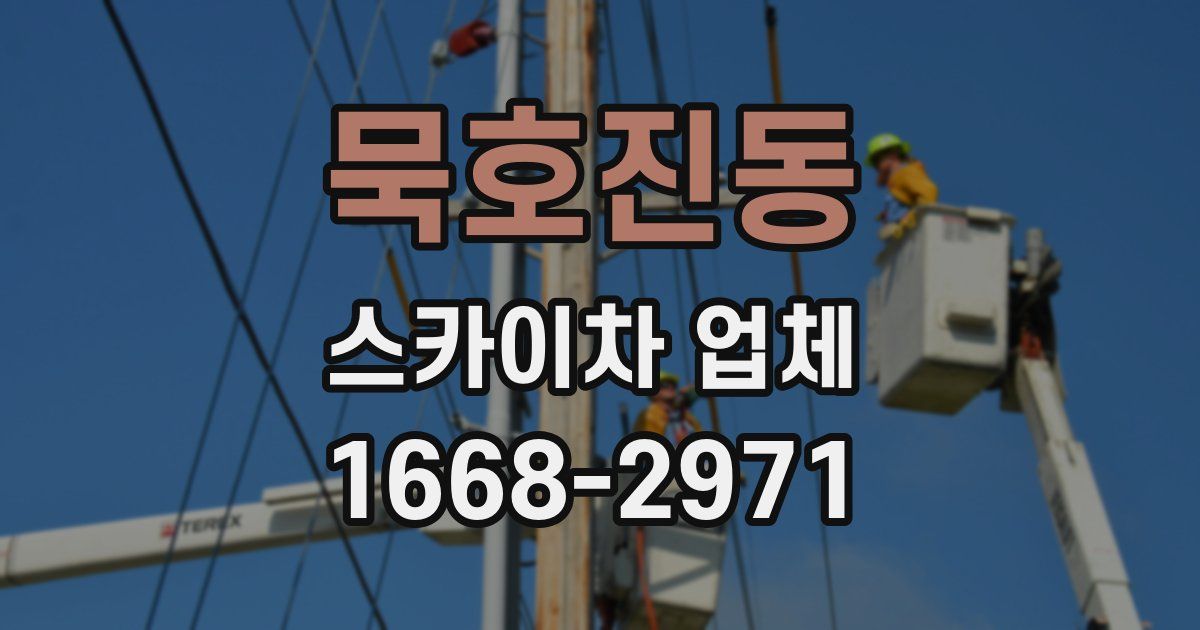 묵호진동 스카이차 업체