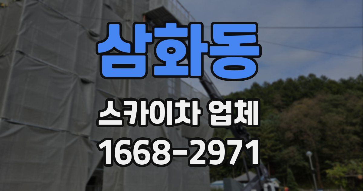 삼화동 스카이차 업체