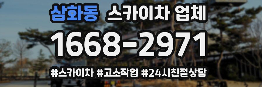 삼화동 스카이차 업체