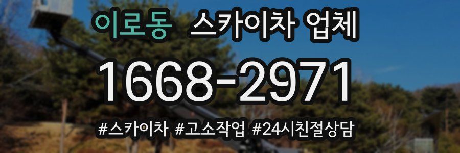 이로동 스카이차 업체