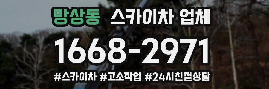 망상동 스카이차 업체