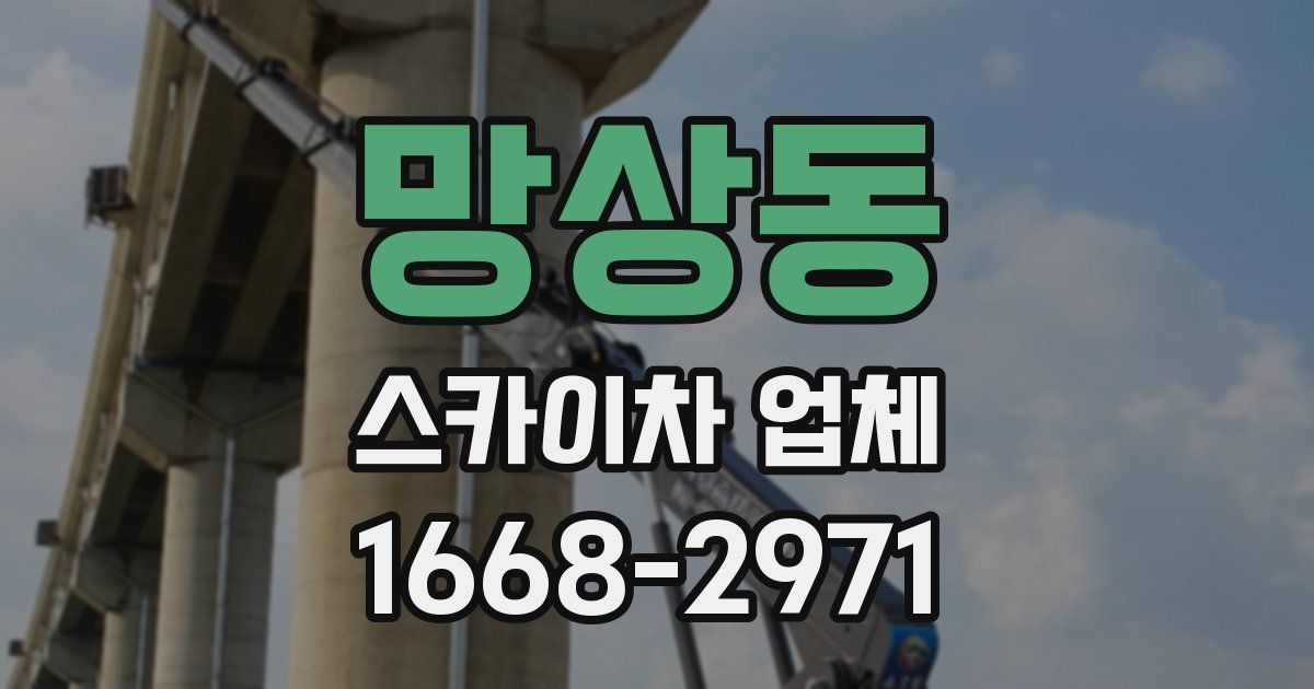 망상동 스카이차 업체