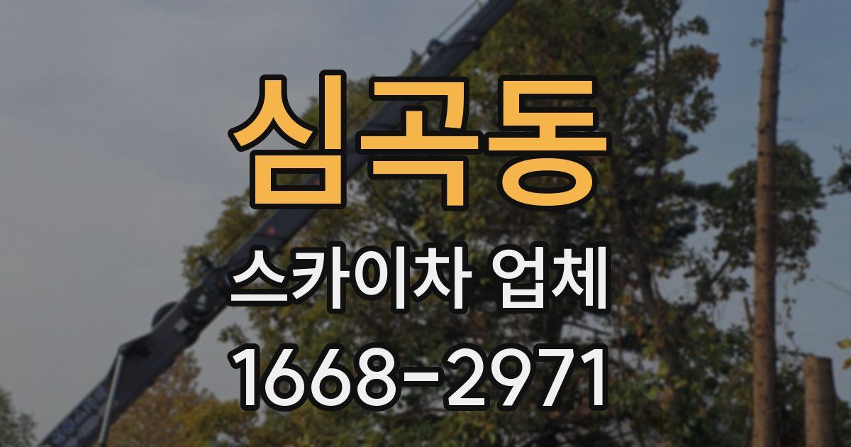 심곡동 스카이차 업체