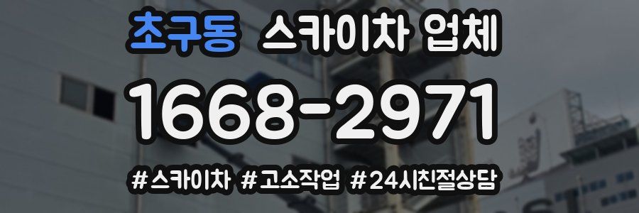 초구동 스카이차 업체