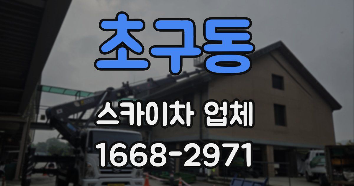 초구동 스카이차 업체