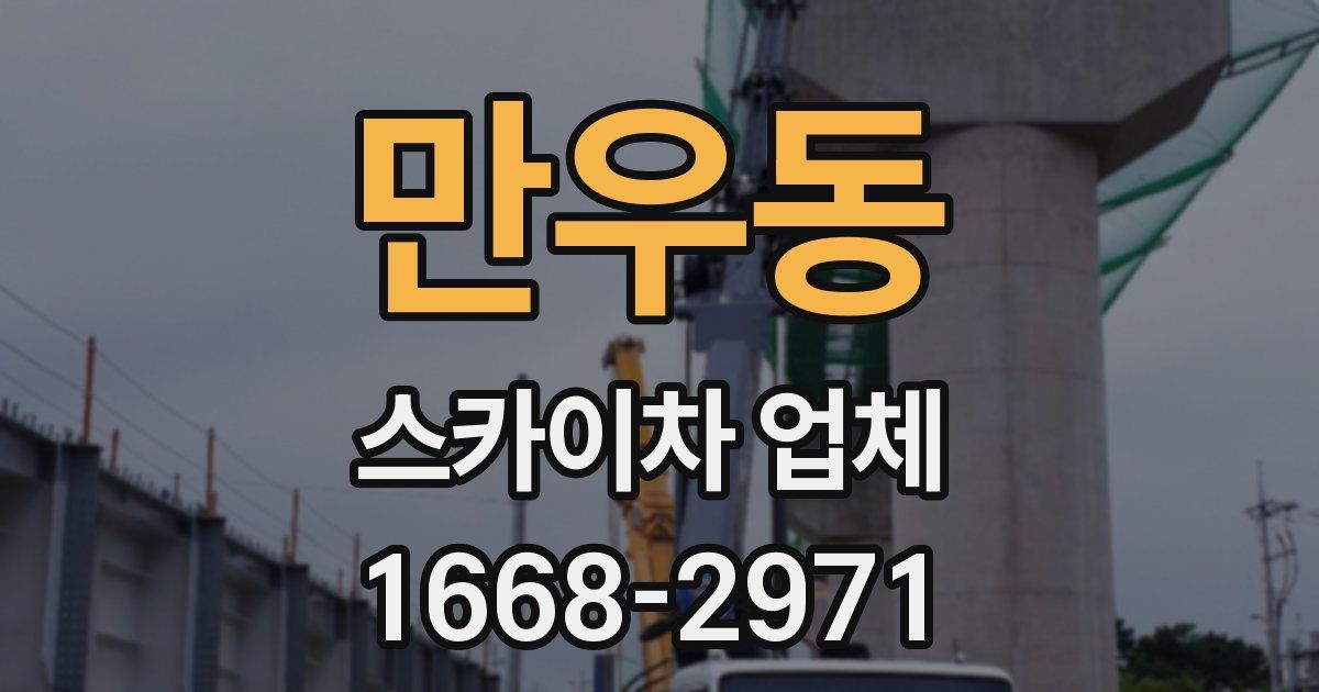 만우동 스카이차 업체