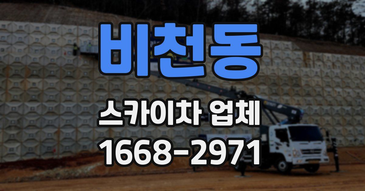 비천동 스카이차 업체