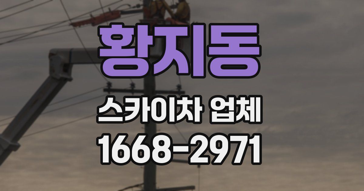 황지동 스카이차 업체