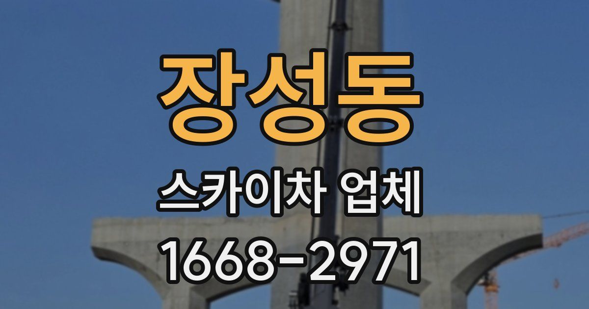 장성동 스카이차 업체