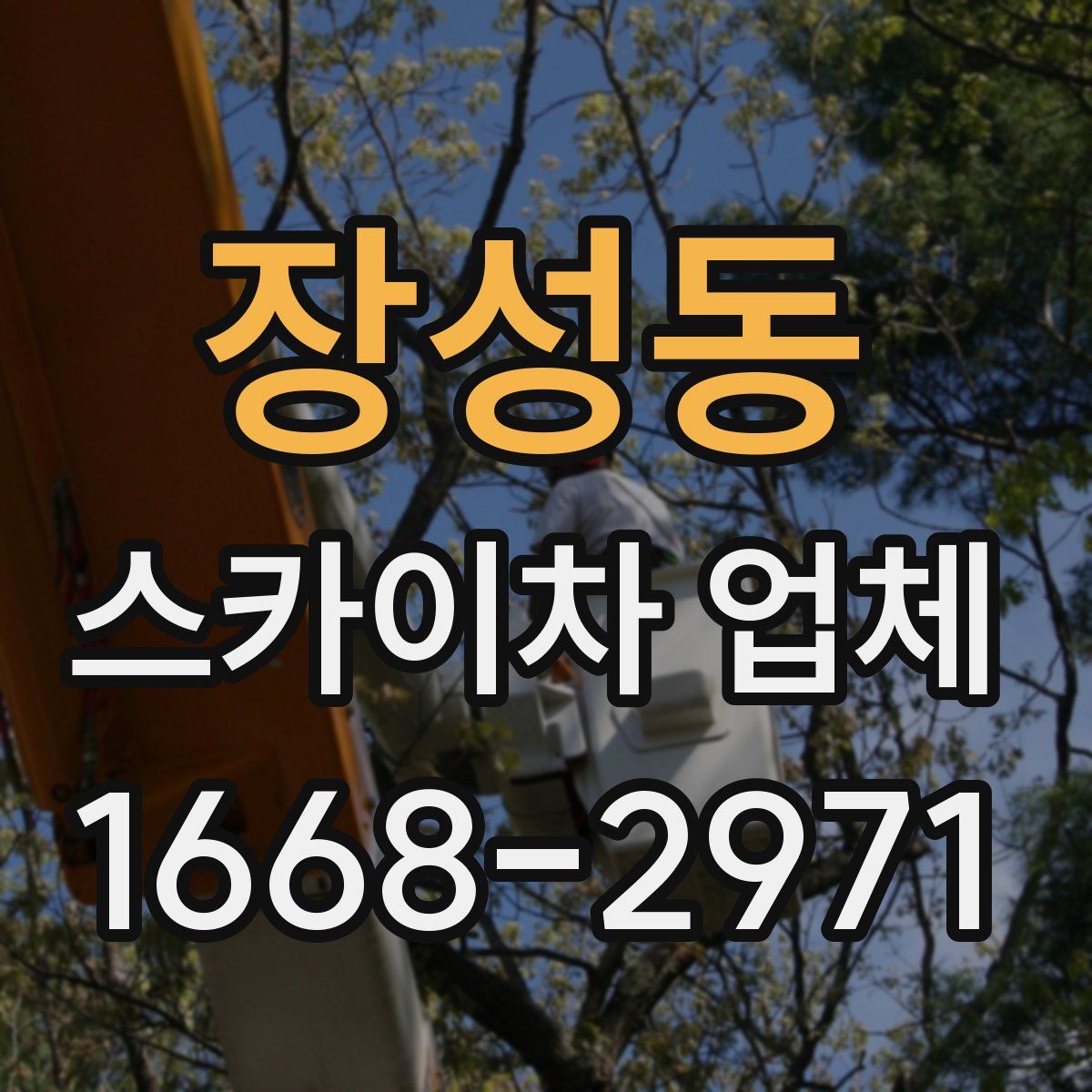 장성동 스카이차 업체