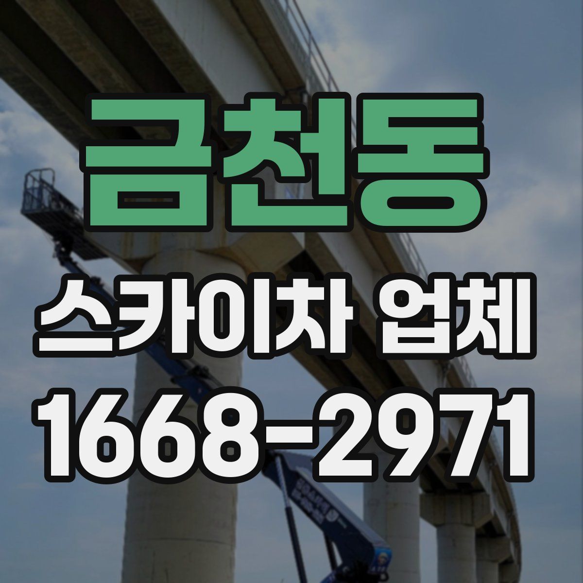 금천동 스카이차 업체