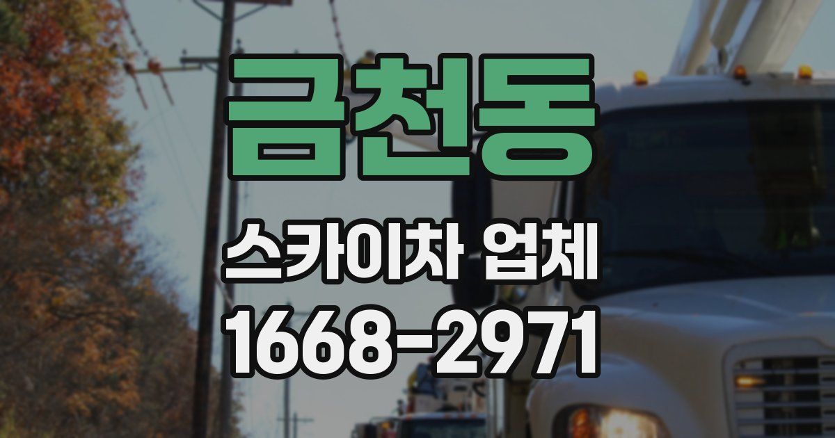 금천동 스카이차 업체