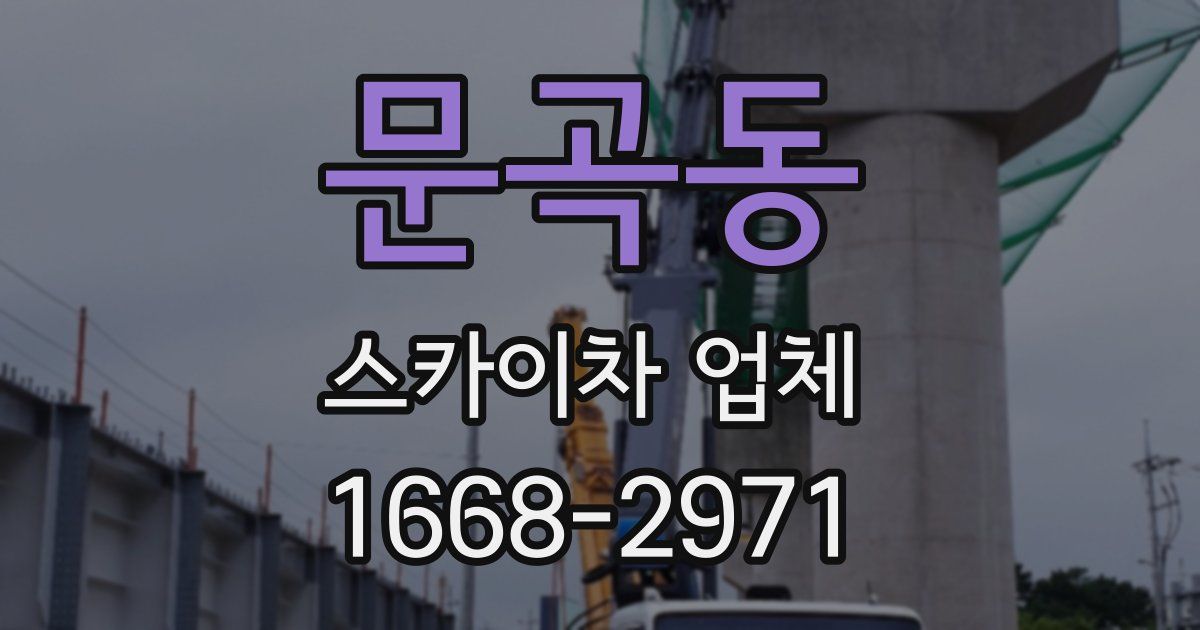 문곡동 스카이차 업체