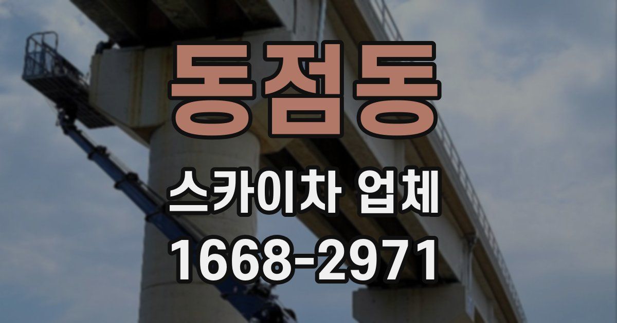 동점동 스카이차 업체
