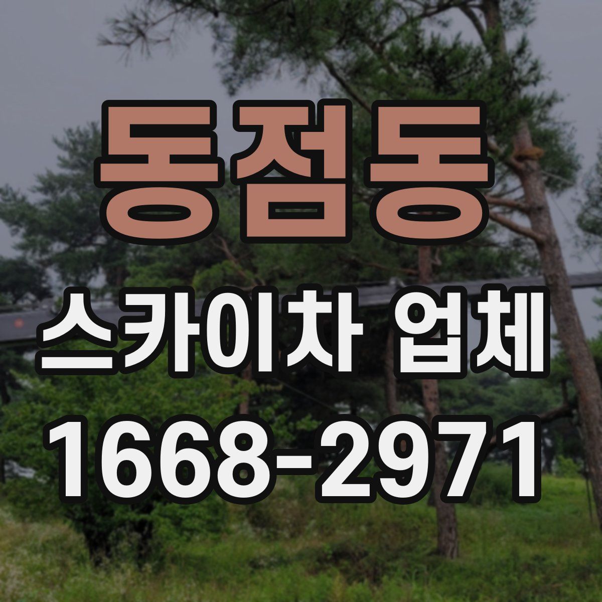 동점동 스카이차 업체