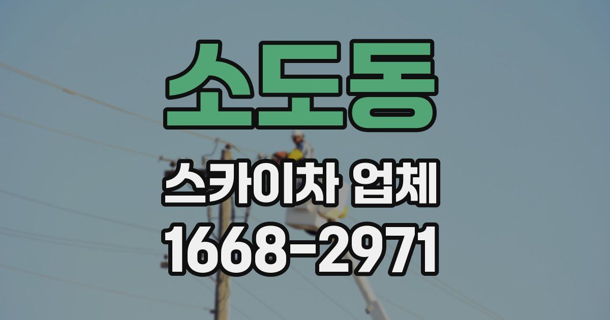 소도동 스카이차 업체